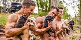 www.australianfirefighterscalendar.com