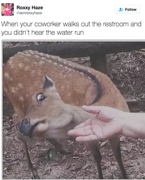 memes