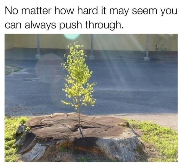 20 Memes To Make Your Day Just A Bit Better