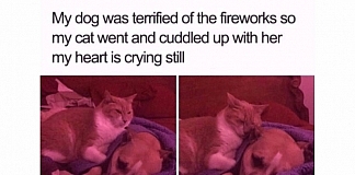 20 Feel Good Memes That Will Tug At Your Heartstrings