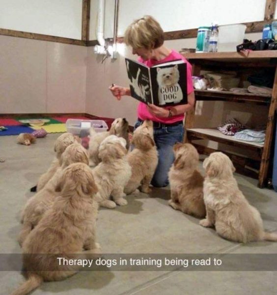 20 Memes To Make Your Day Just A Bit Better