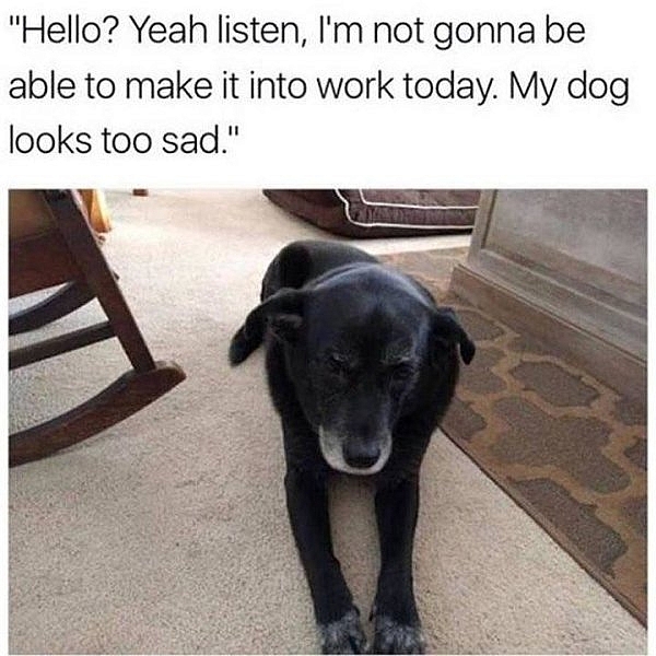 20 Work Memes To Help You Get Through This Week