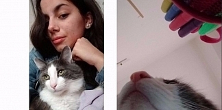 Cat Owner Surprised To Find These Selfies On Her Phone