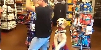 Dog Doing The Salsa Dance With Owner Is Just Too Cute