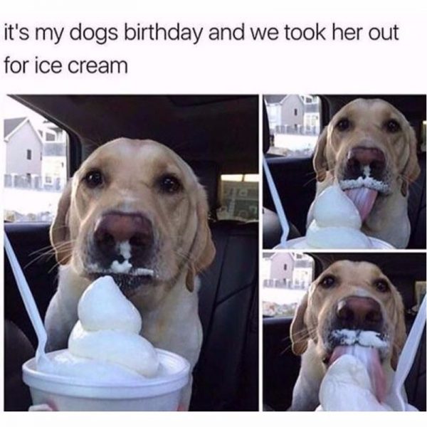 20 Feel Good Memes That Will Tug At Your Heartstrings