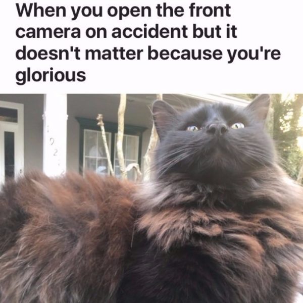 20 Feel Good Memes That Will Tug At Your Heartstrings