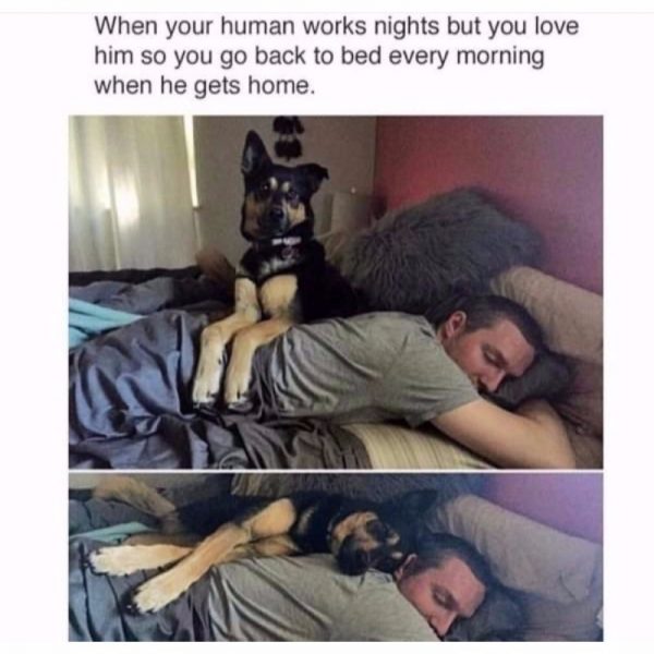 20 Feel Good Memes That Will Tug At Your Heartstrings