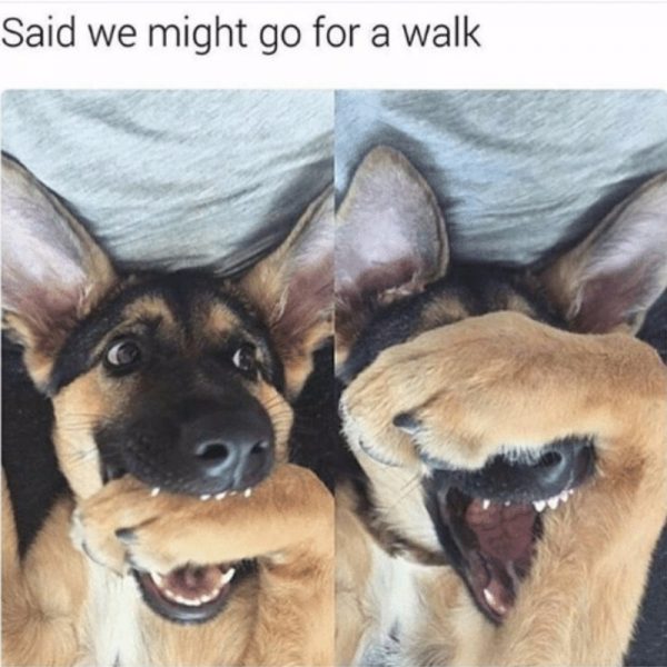 20 Feel Good Memes That Will Tug At Your Heartstrings