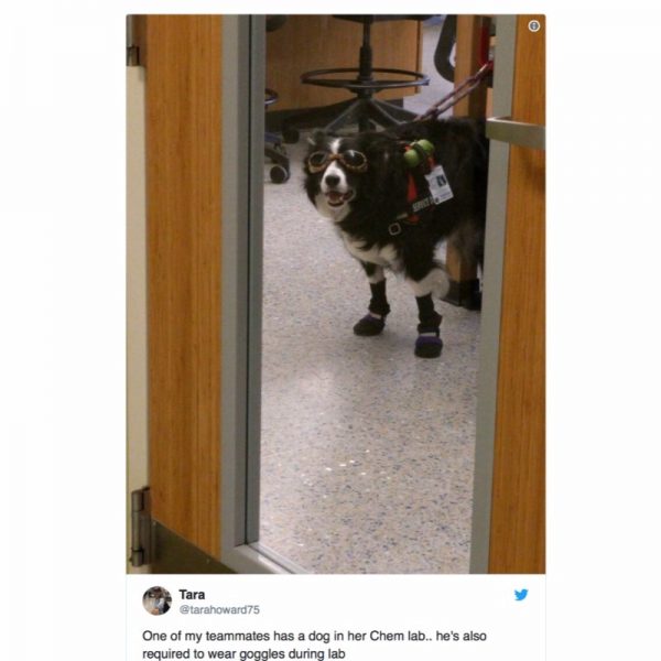 20 Feel Good Memes That Will Tug At Your Heartstrings