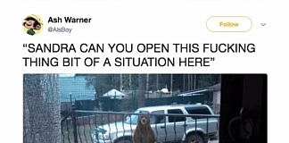 25 Of The Funniest Animal Tweets Of 2017