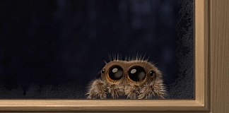 adorable-spider-lucas-wants-to-come-inside-joshua-slice