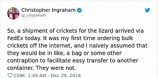 Guy Shares Story Of Unleashing Crickets In His House Leaving Us In Tears