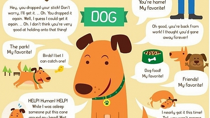 What Would Your Cat Or Dog Say If They Could Talk What Would Your Cat Or Dog Say If They Could Talk