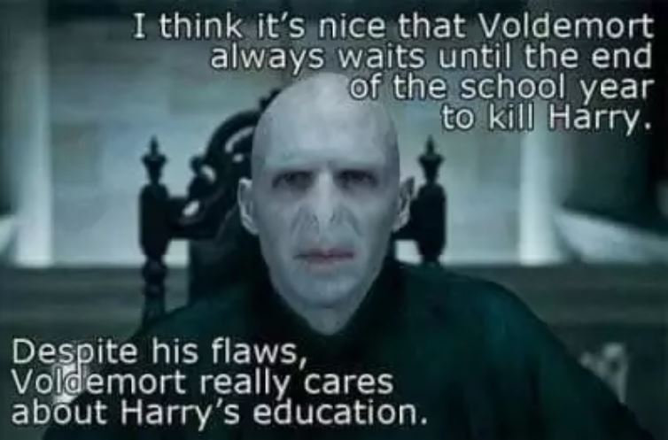 15 Harry Potter Memes That Will Help You Eliminate Your Dumble Doredom