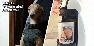 15 Harry Potter Memes That Will Help You Eliminate Your Dumble Doredom