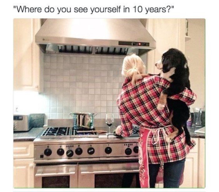 15 Funny And Ridiculous Memes About Why People Prefer Pets Over Kids