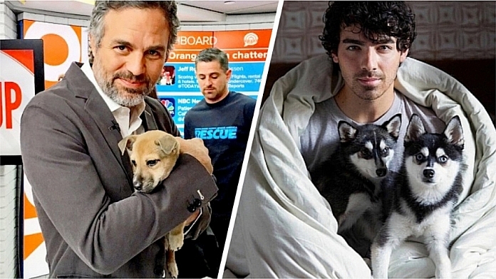 Celebrities Share Photos Of Their Adorable Puppies On National Puppy Day