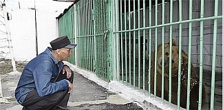A Bear Has Been Sentenced To Life In A Human Prison After Two Attacks On People