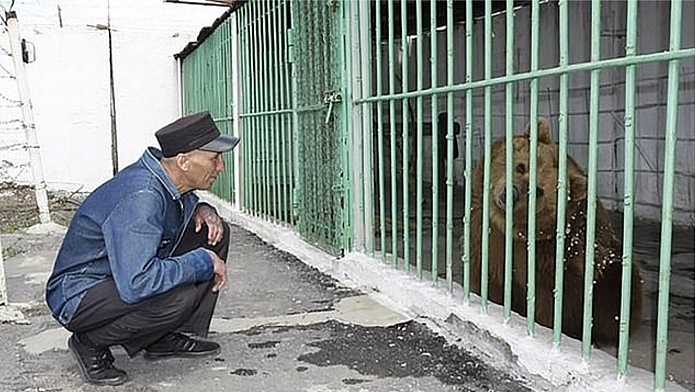 A Bear Has Been Sentenced To Life In A Human Prison After Two Attacks On People