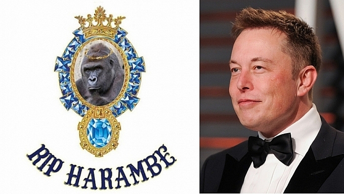 Elon Musk Takes Everyone By Surprise By Dropping New Rap Single 'RIP Harambe' Elon Musk Takes Everyone By Surprise By Dropping New Rap Single 'RIP Harambe'