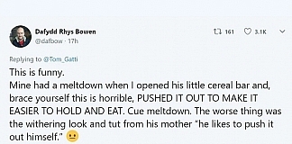 Parents Recall The Biggest Meltdowns Their Kids Had And They Are Hilarious